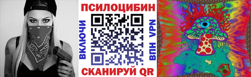 где найти наркотики Отрадная Псилоцибиновые грибы мицелий